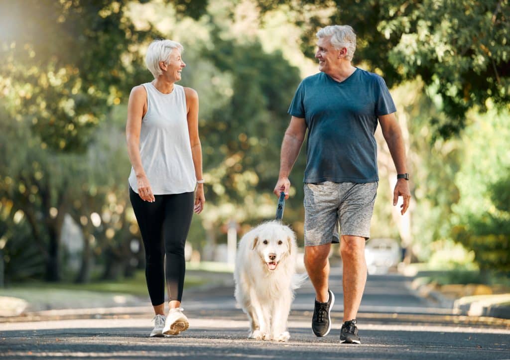 Retirement fitness and walking with dog and couple in neighborhood park for relax health and sports workout Love wellness and pet with old man and senior woman in outdoor morning walk together